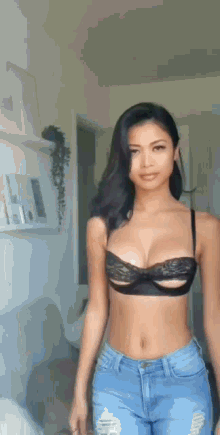 brittany pointer add photo asian babes gif