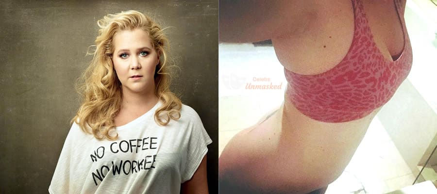 dexter luckett recommends Amy Schumer Nip Slip