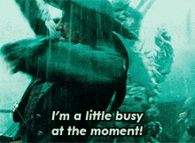 amanda kopinski recommends Im A Little Busy At The Moment Gif