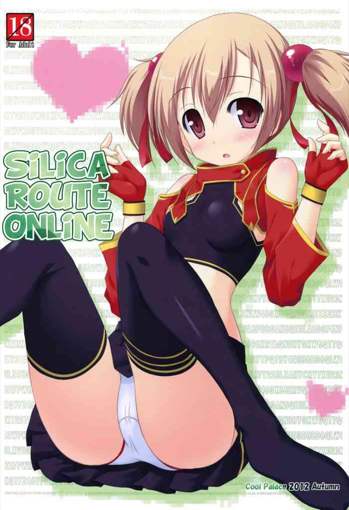 chris luderman recommends sword art online silica porn pic