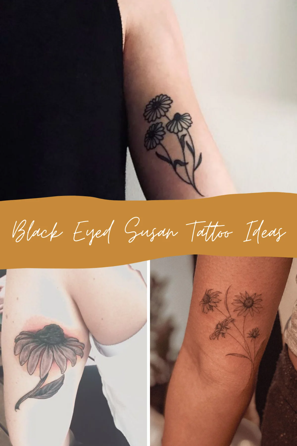 deanna amick add black eyed susan tattoo designs photo