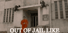 billie mutter recommends getting out of jail gif pic