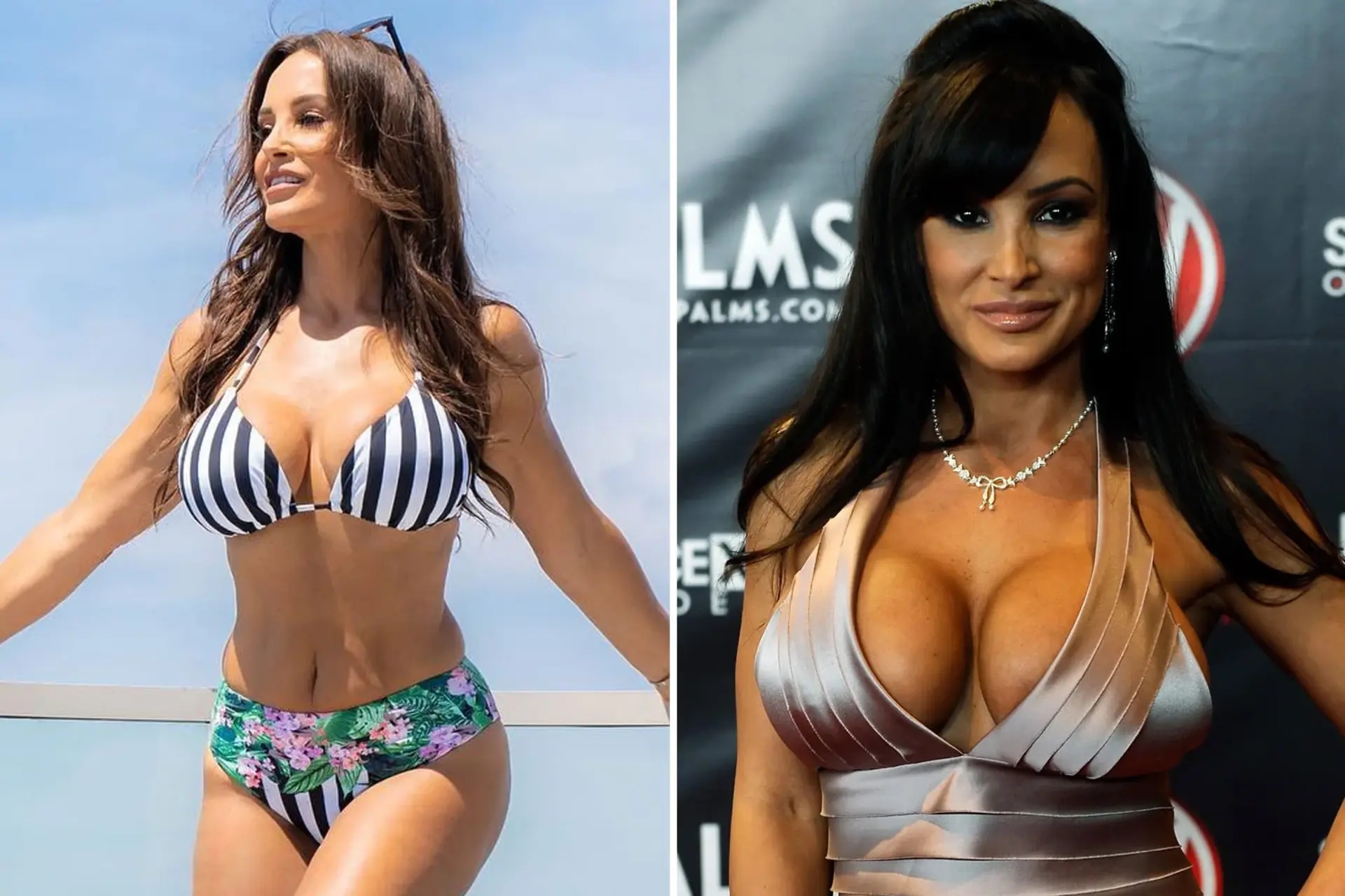 dalim ahmed recommends lisa ann cup size pic