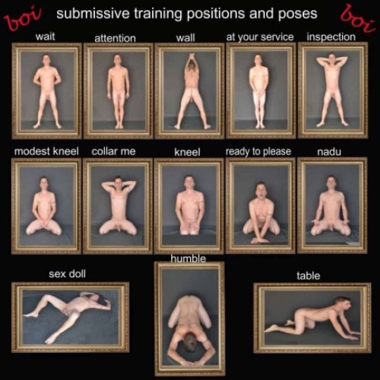 brandi daugherty recommends Submissive Wife Training Positions