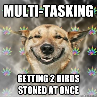 Best of Get 2 birds stoned at once
