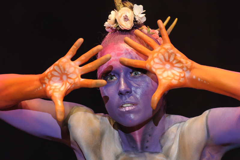 World Body Painting Festival 2015 show hang