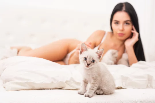 aleksandar devic recommends my sexy kittens com pic