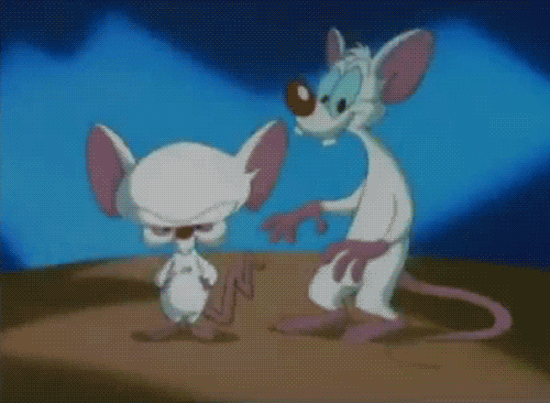 carol decoste recommends pinky and the brain gif pic