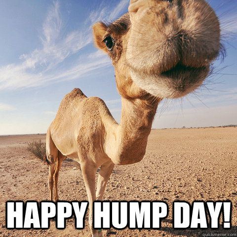 beth cottrell recommends hump day image pic