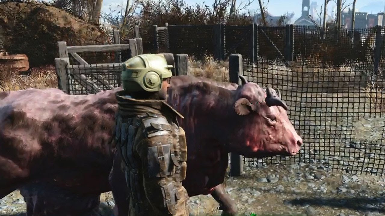 andrew defever recommends brahmin fallout 4 pic