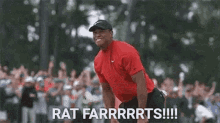 bob mills recommends tiger woods funny gif pic