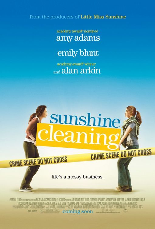 anthony subia recommends Sunshine Topless Cleaning Service