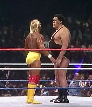 alireza ghafari recommends Hulk Hogan Cock Size