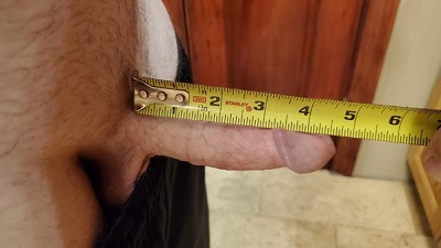 curt young recommends average porn star penis pic