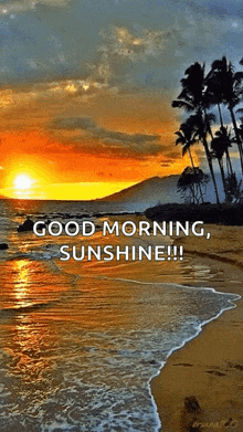 derek brookfield recommends good morning sunrise gif pic