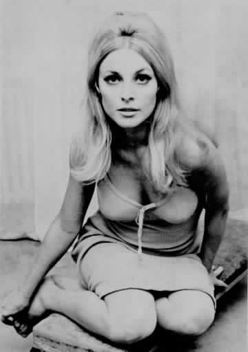 Sharon Tate Porn shell hentai