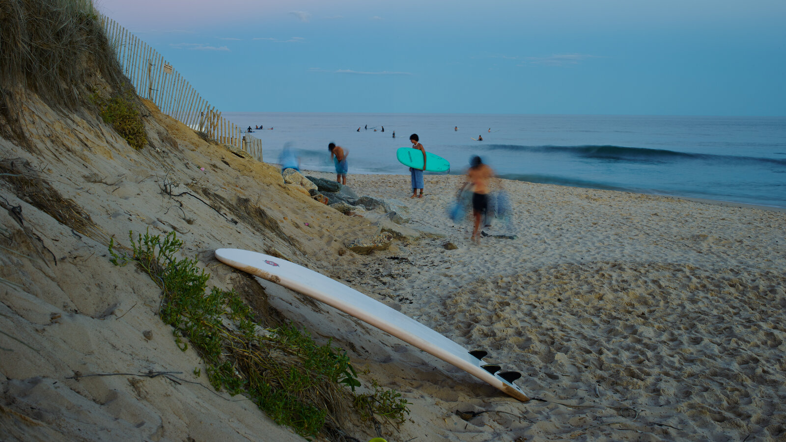 bob borland recommends beach bush tumblr pic