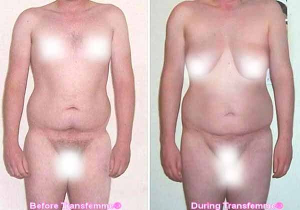 bryant hedrick recommends bovine ovary mtf before and after pic
