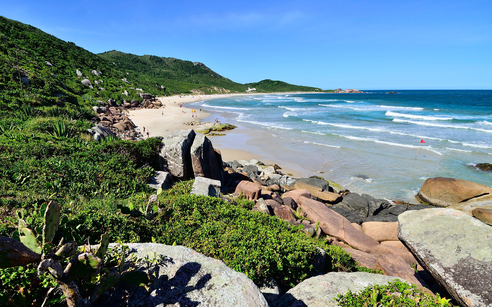 brandon pullins recommends brazilian family nude beach pic