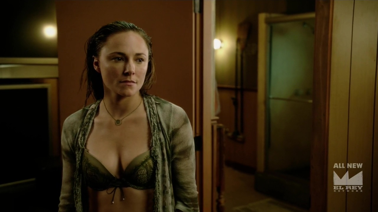 briana evigan sex scene