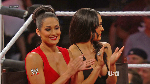 andy lomeli recommends wwe divas nip slip pics pic