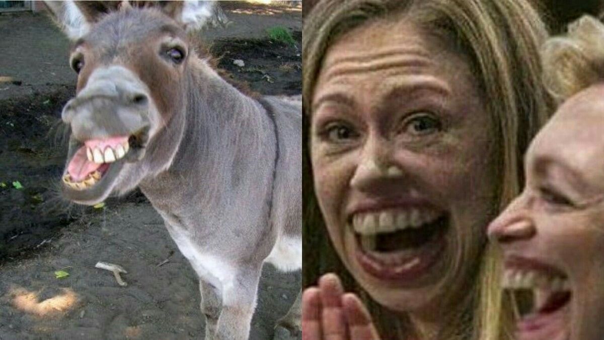 barbara byer recommends Chelsea Clinton Anal