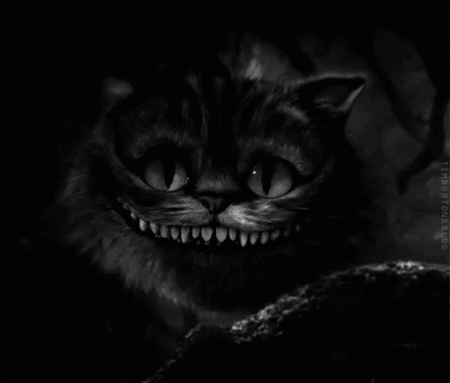 carrie ritchey recommends cheshire cat gifs pic