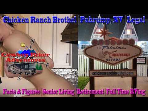 bruce duck recommends chicken ranch brothel video pic