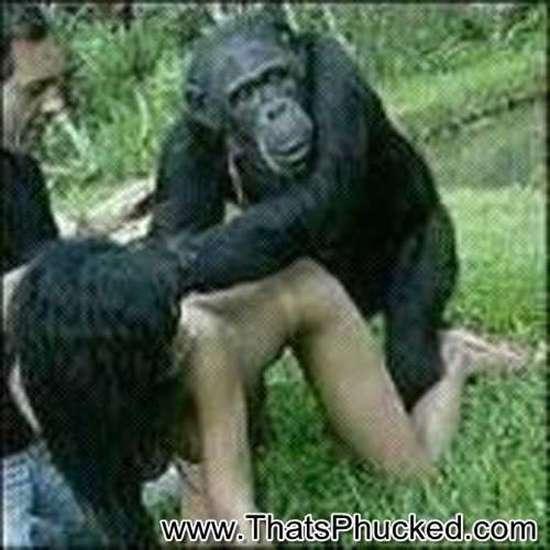adam goldfarb recommends chimp fucks woman pic
