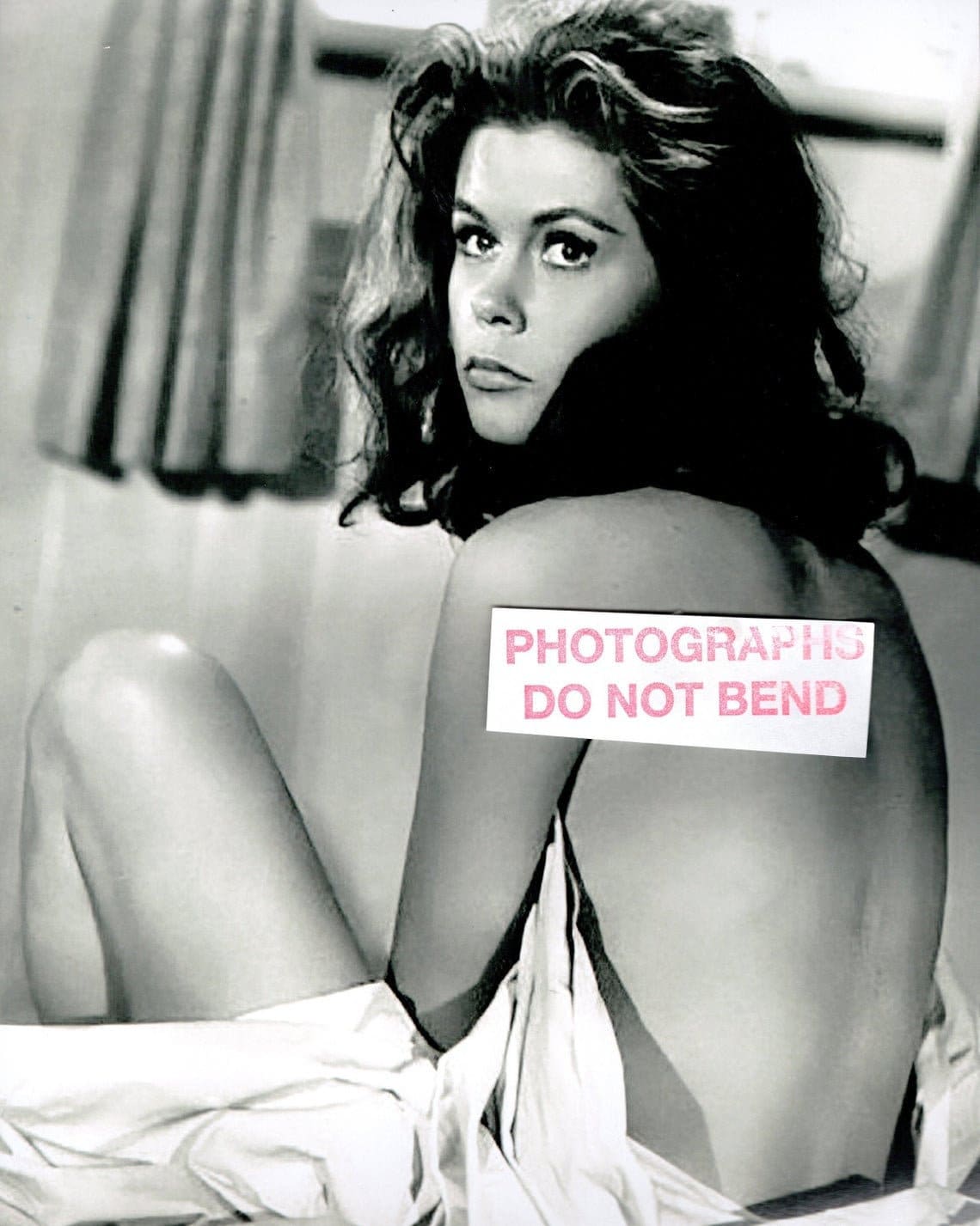 ashley diane jones recommends sexy elizabeth montgomery pic