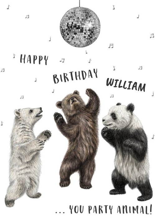 bill weitzel recommends Dancing Bear Birthday Party