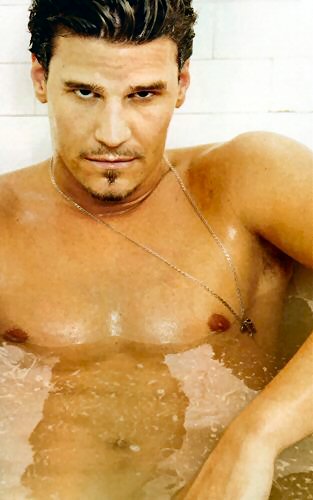 angel lintag recommends David Boreanaz Shirtless