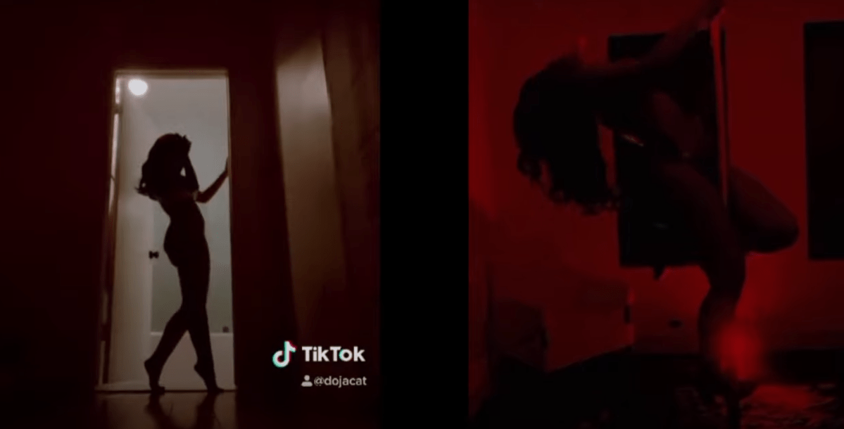 claudia oakley recommends tiktok silhouette challenge nude pic