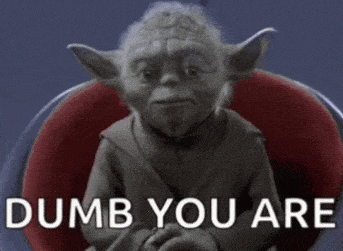 ahmed beso recommends you are so dumb you are really dumb gif pic