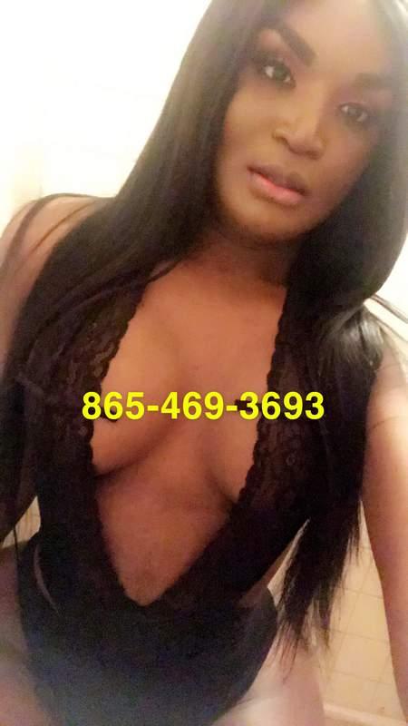 amr minisy recommends escorts in pigeon forge pic