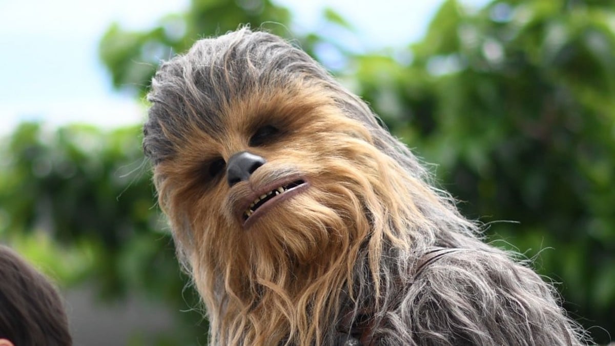 austin beck add pictures of chewy from star wars photo