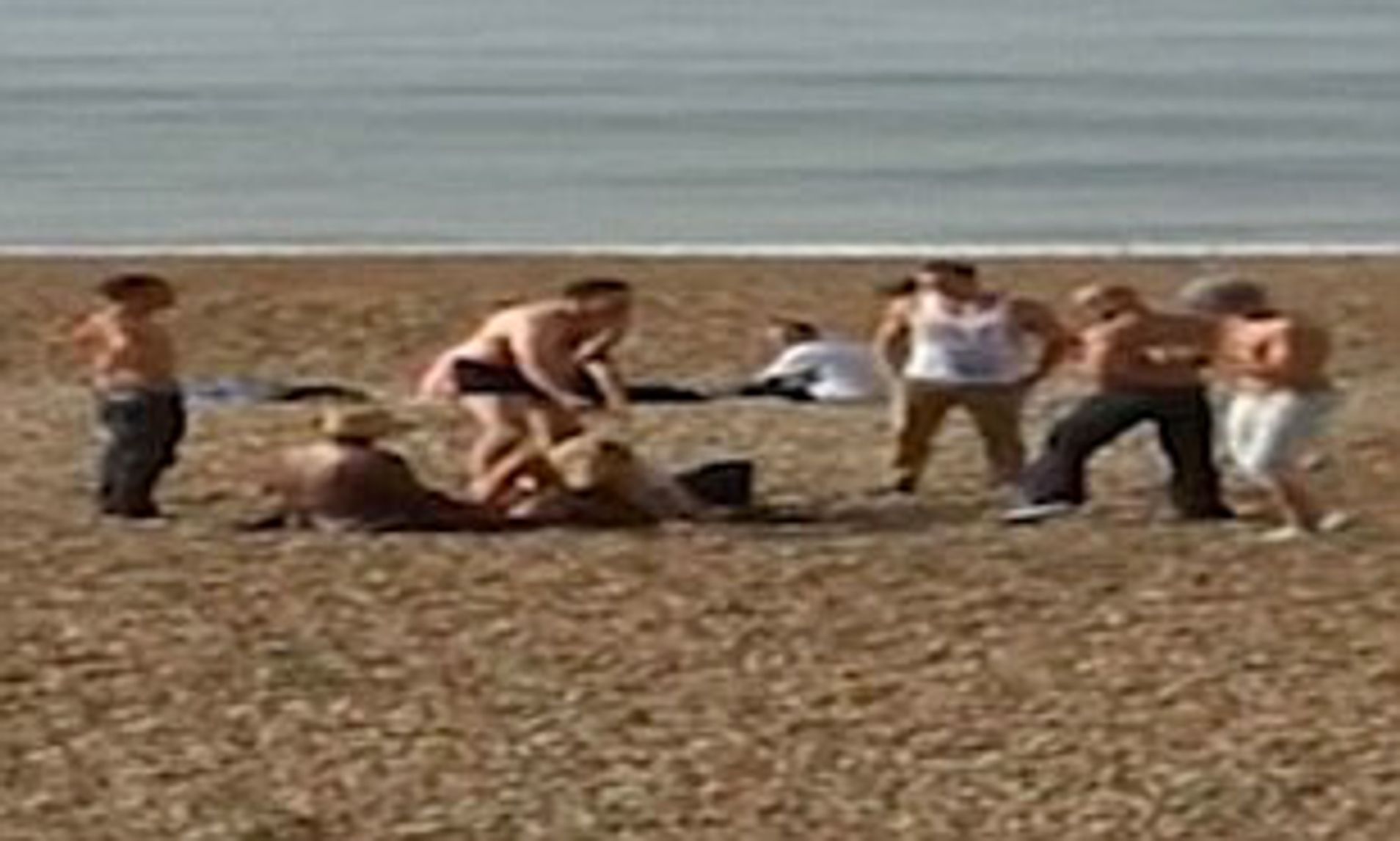 cole goldman recommends Nudist Beach Sex Videos