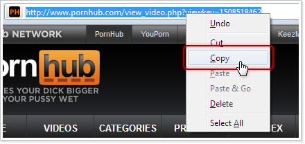 how to download videos pornhub