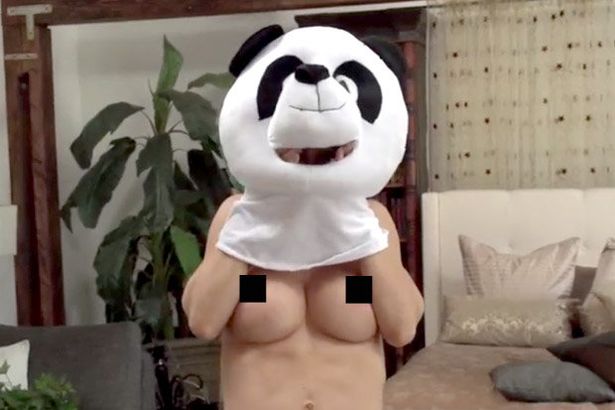 panda adult film