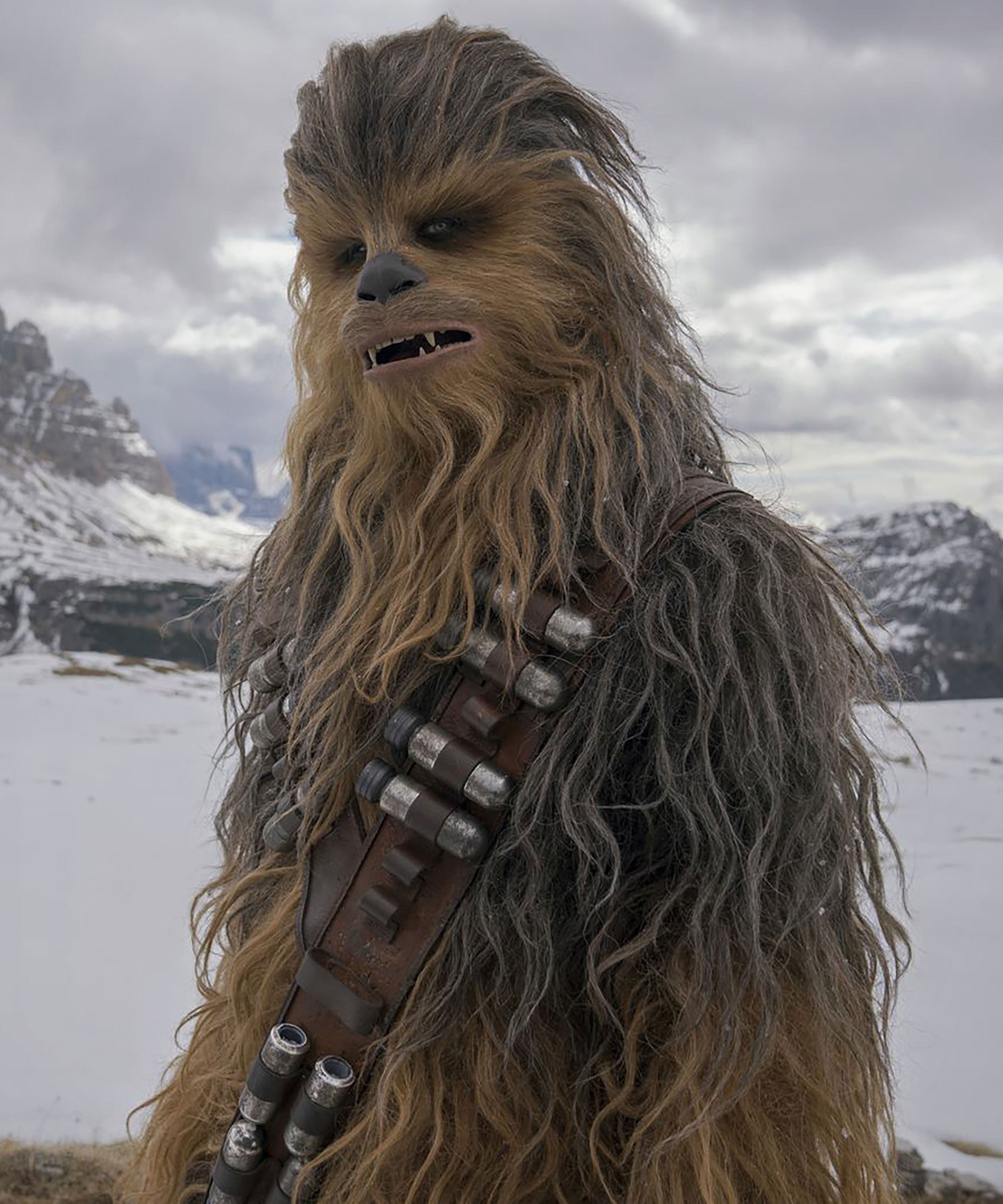 pictures of chewy from star wars