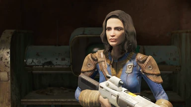 Fallout 4 Spouse Companion Mod erotikmarkt geiselwind