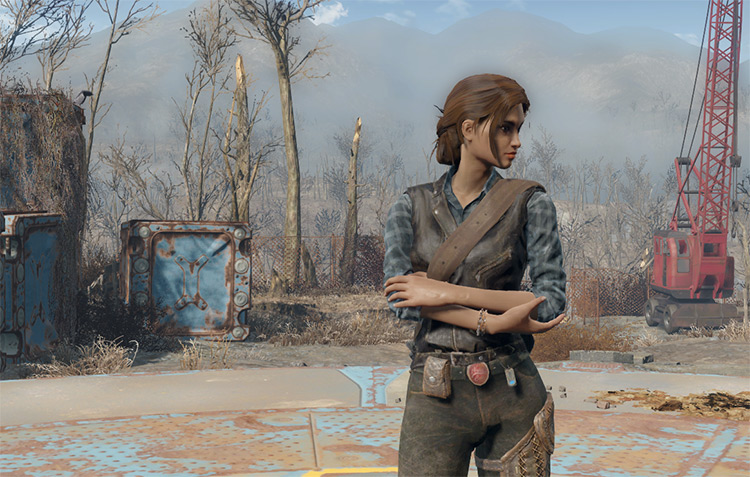 chris northway recommends fallout 4 spouse companion mod pic