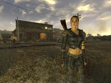 brahim coulibaly recommends Fallout New Vegas Sunny