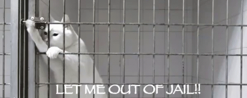 alejandro mata recommends getting out of jail gif pic