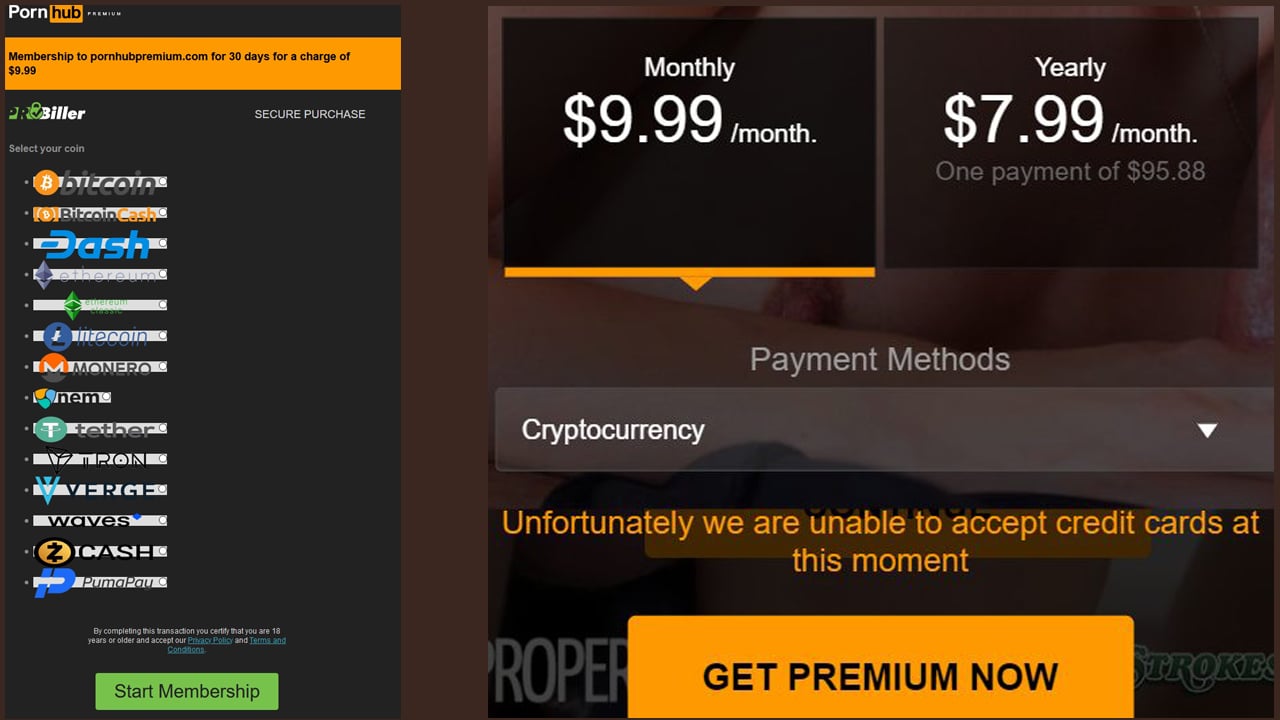 bakul tahu recommends get paid from pornhub pic