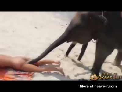 bernadette quitaleg add photo girl sucking elephant dick