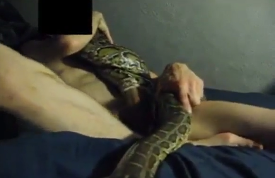 ann marie montague recommends guy has sex with a snake pic