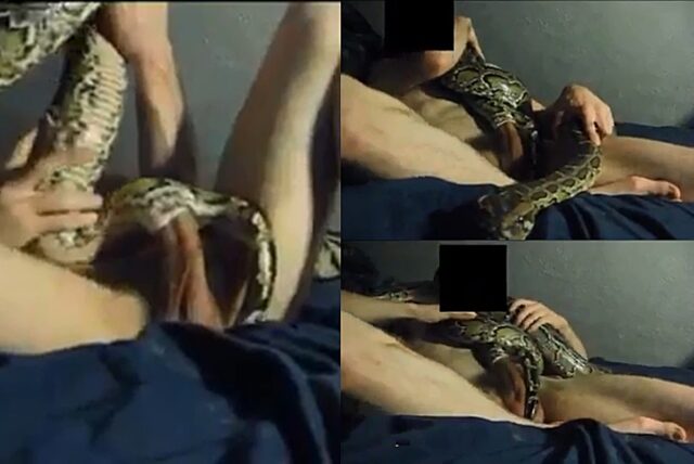 guy has sex with a snake