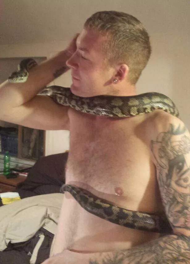 danne andersson add guy has sex with a snake photo
