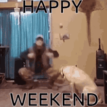 have a great weekend gif funny